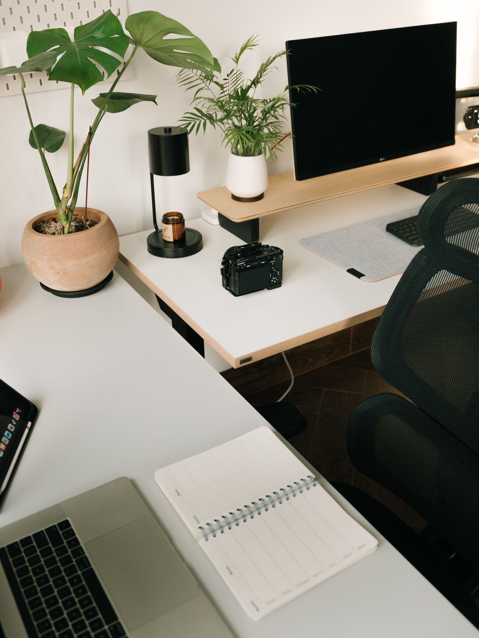 Creator editing setup with vertical display